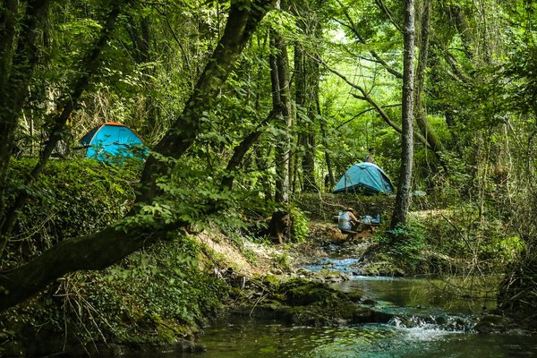 Comment préparer un itinéraire de camping pour explorer les forêts de séquoias géants en Californie?